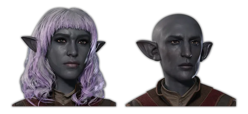 Deep Gnome character portrait — Baldur’s Gate 3