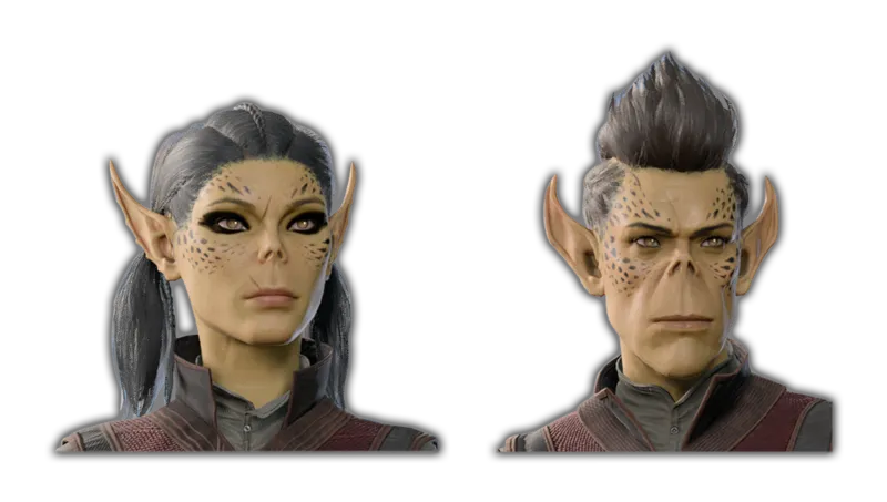 Githyanki character portrait — Baldur’s Gate 3