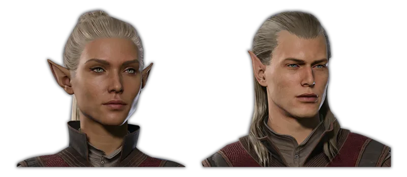 High Elf character portrait — Baldur’s Gate 3