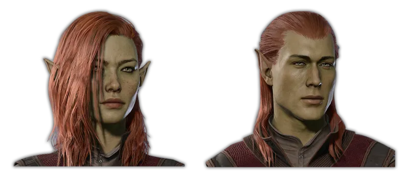 Wood Elf character portrait — Baldur’s Gate 3